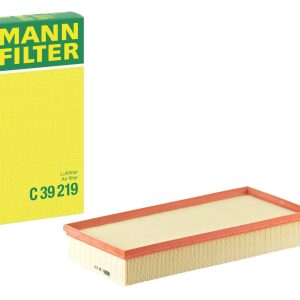 Hava filtresi C39219