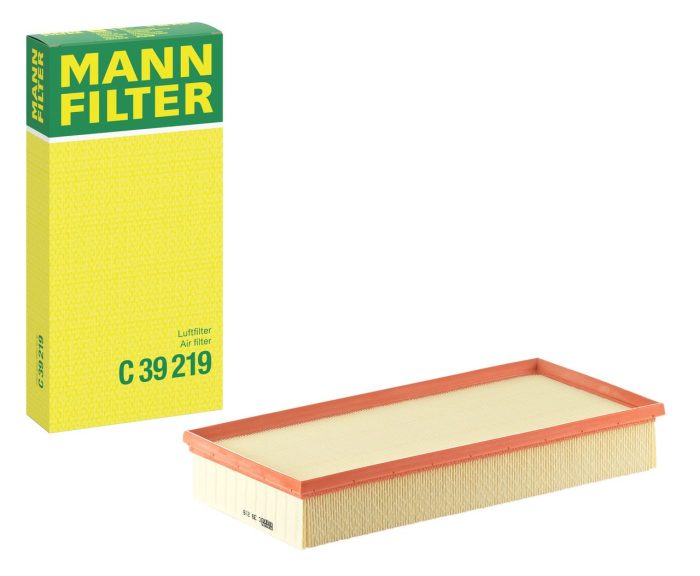 Hava filtresi C39219