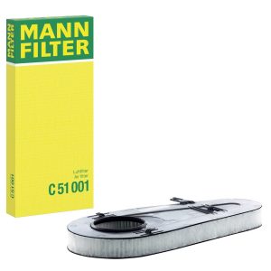 Hava filtresi C51001